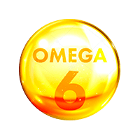 Ômega 6